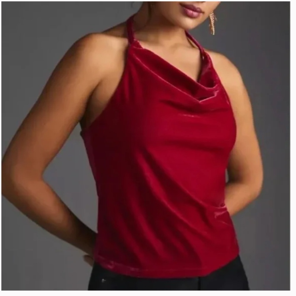 By Anthropologie Cowl Neck Velvet Boho Modern Classy Party Romantic Artsy Blouse